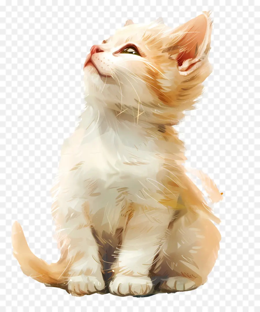 Gato Branco，Gatinho PNG