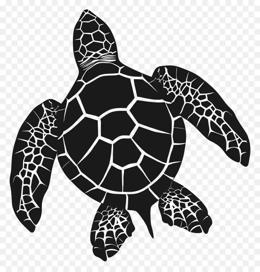 Silhueta De Tartaruga，Turtle PNG