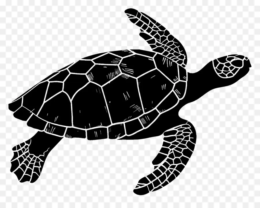 Silhueta De Tartaruga，Turtle PNG