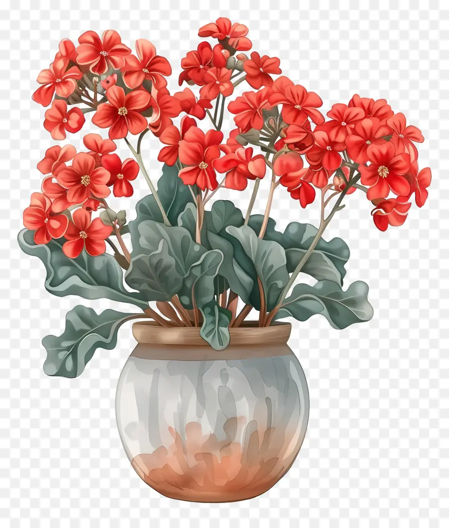 Planta De Kalanchoe，Flores Vermelhas PNG
