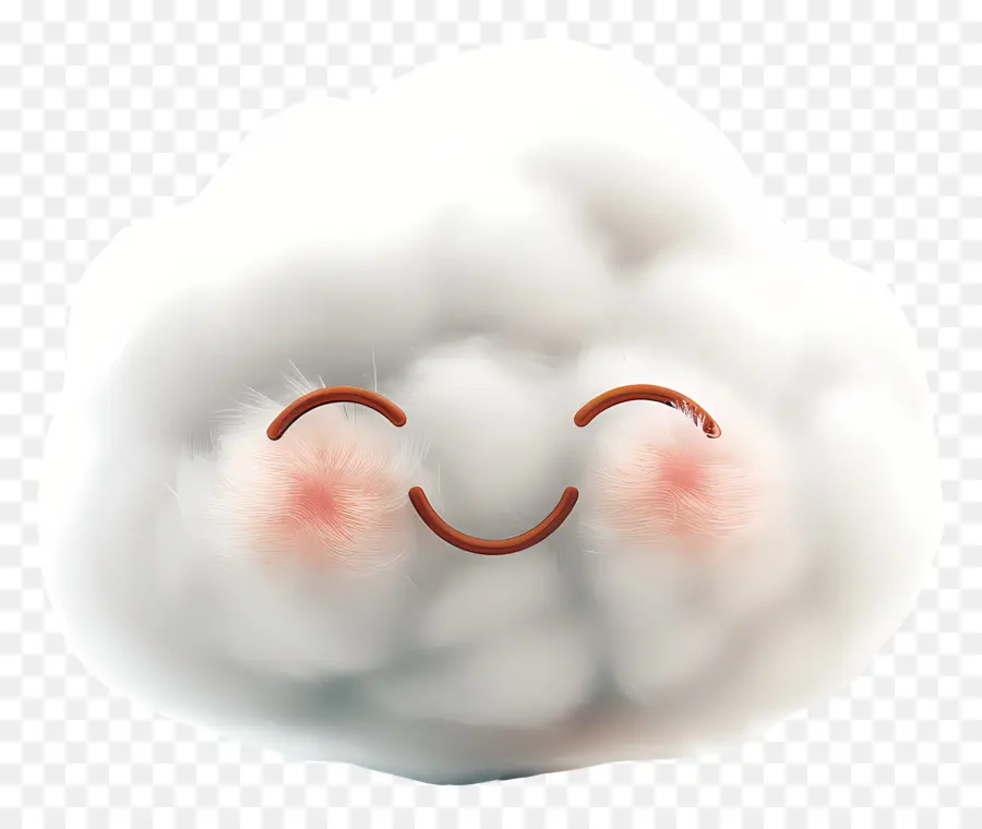 Cartoon 3d Fuzzy，Smiley Face Cloud PNG