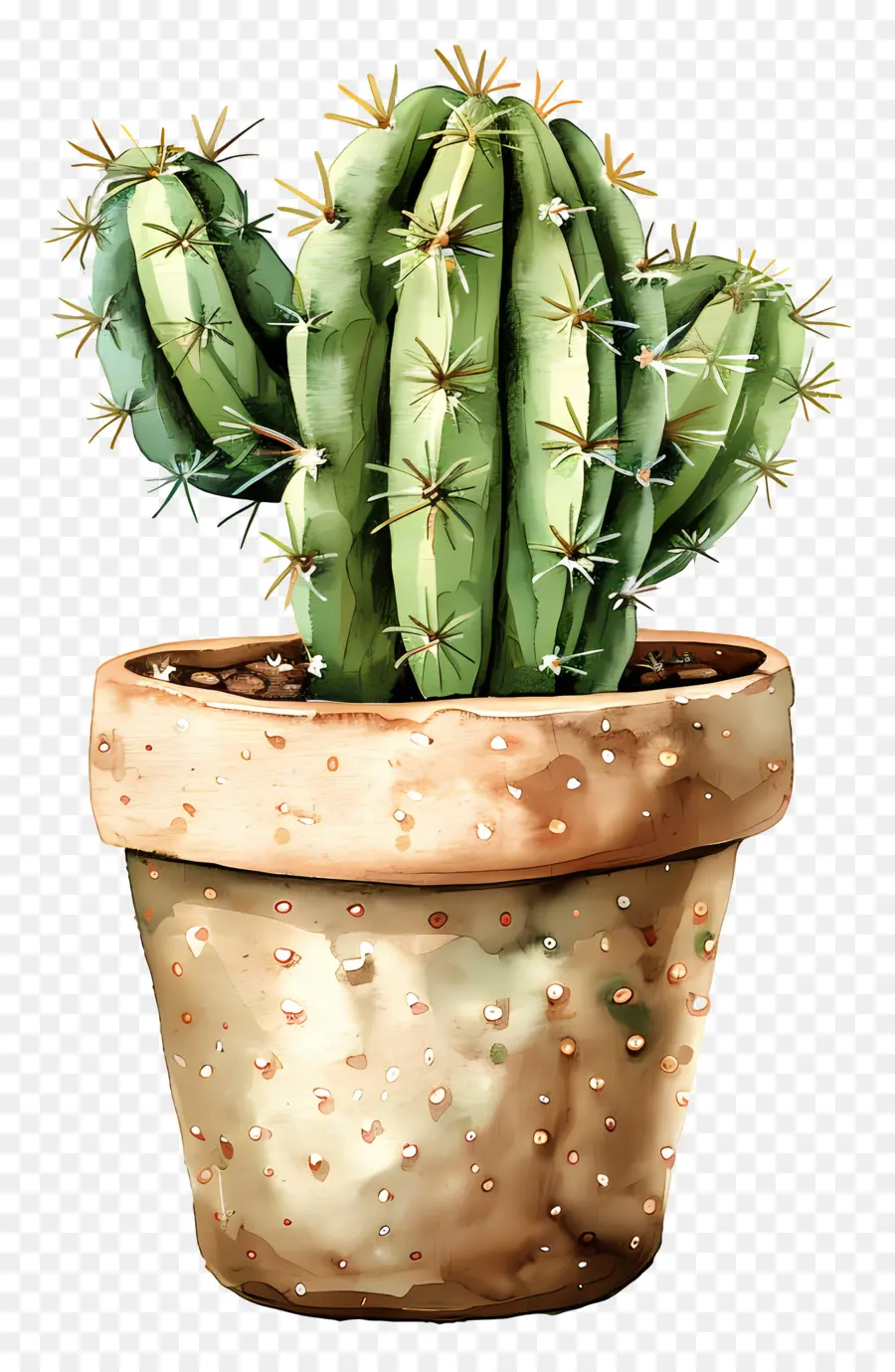 Cactus，Pintura Em Aquarela PNG