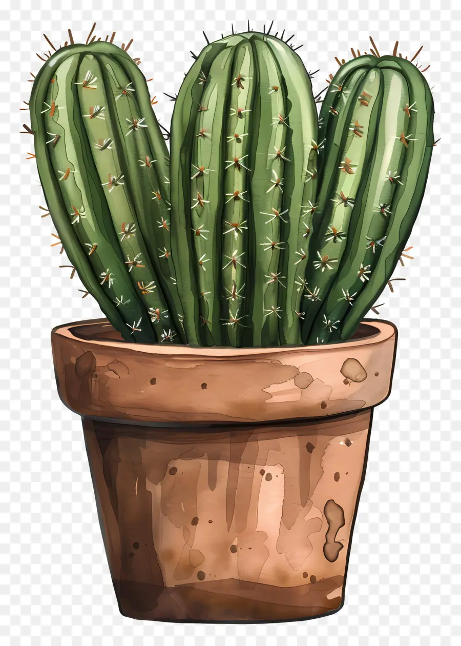 Cactus，Pote PNG