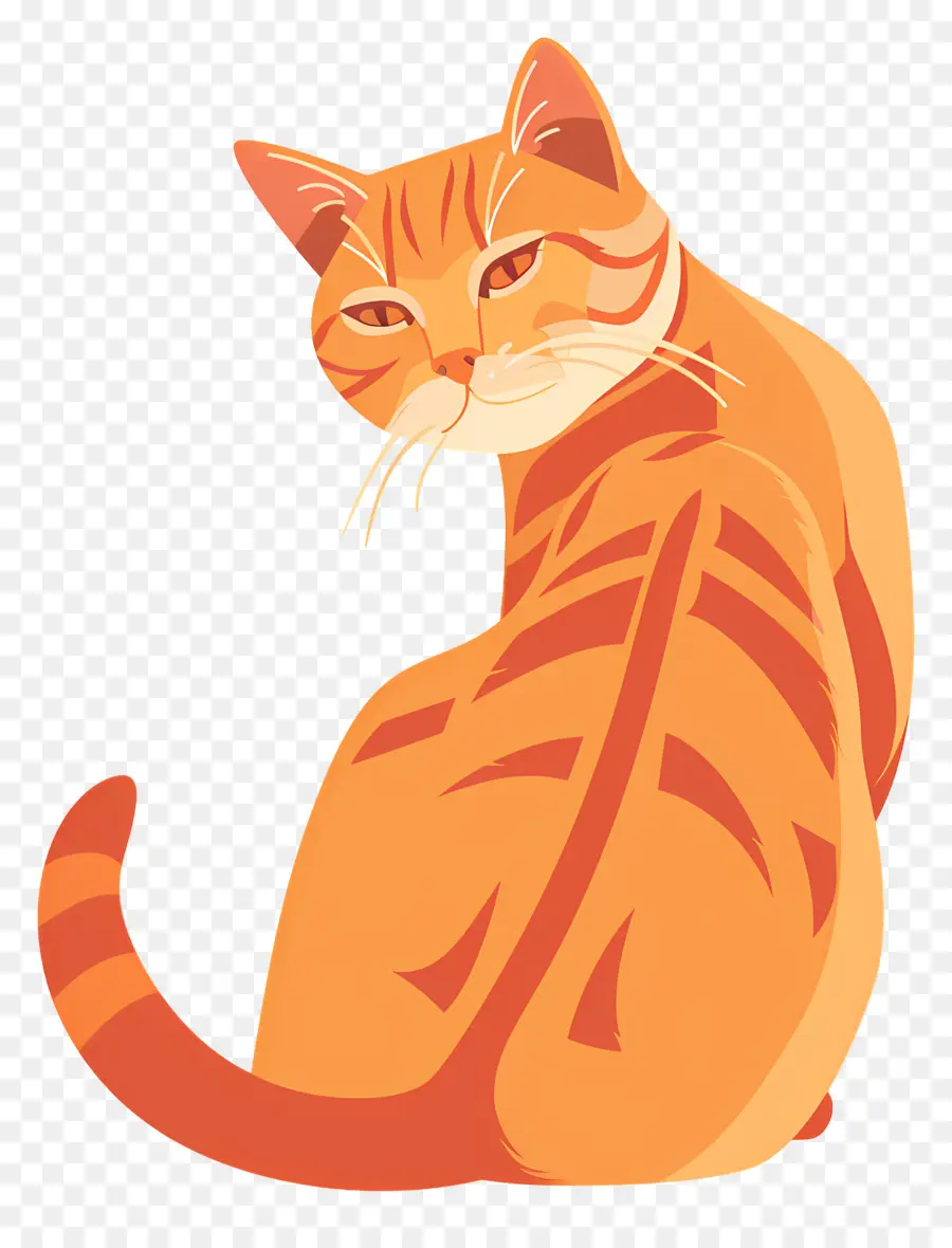 Ginger Cat，Gato Laranja PNG