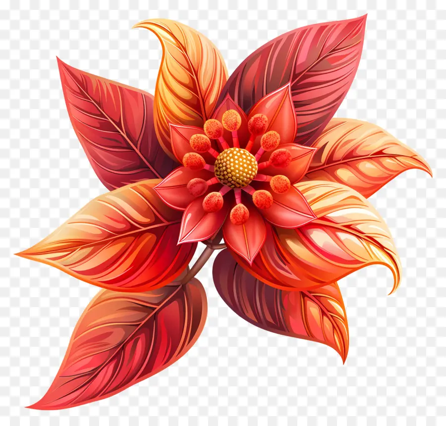 Flor Vermelha，Pétalas PNG