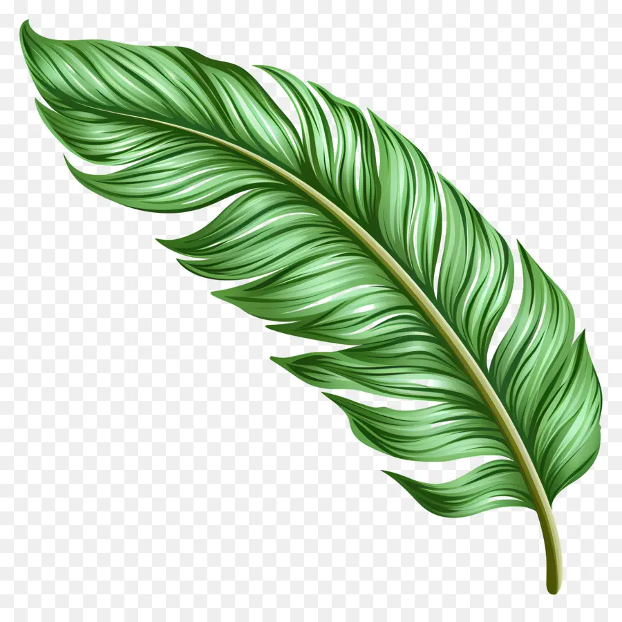 Folha De Palmeira，Pena Verde PNG