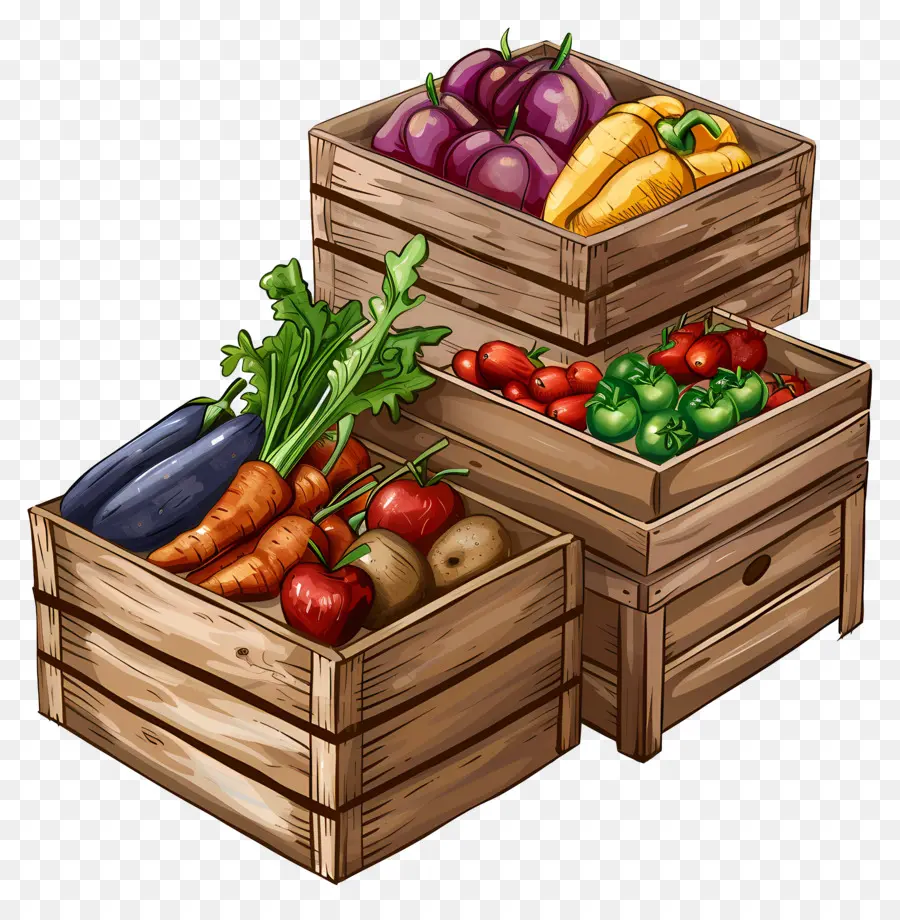 Frutas E Legumes，Legumes PNG