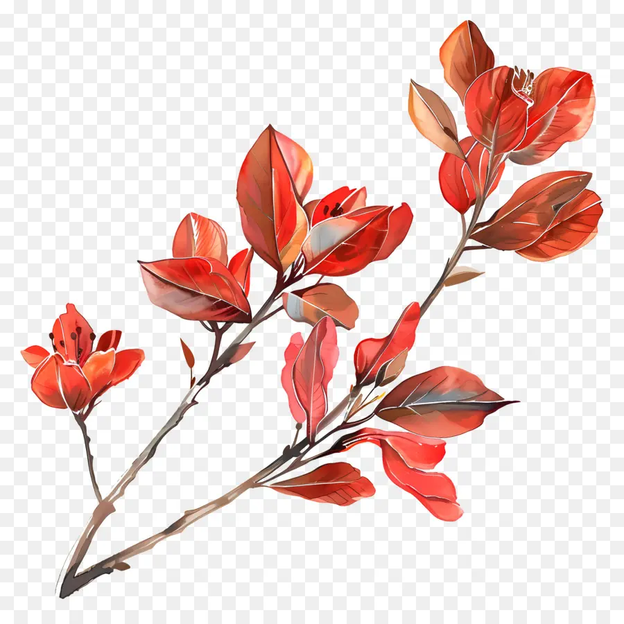 Flor Vermelha，Pintura Em Aquarela PNG