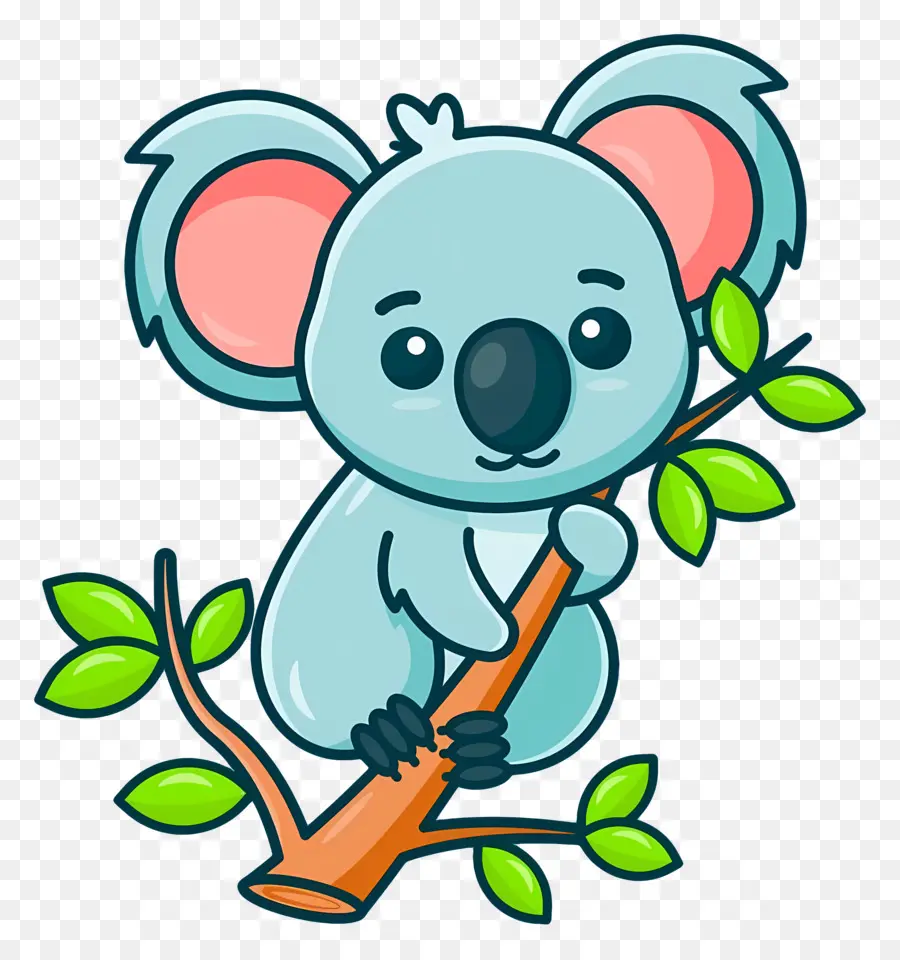 Koala，Canguru PNG