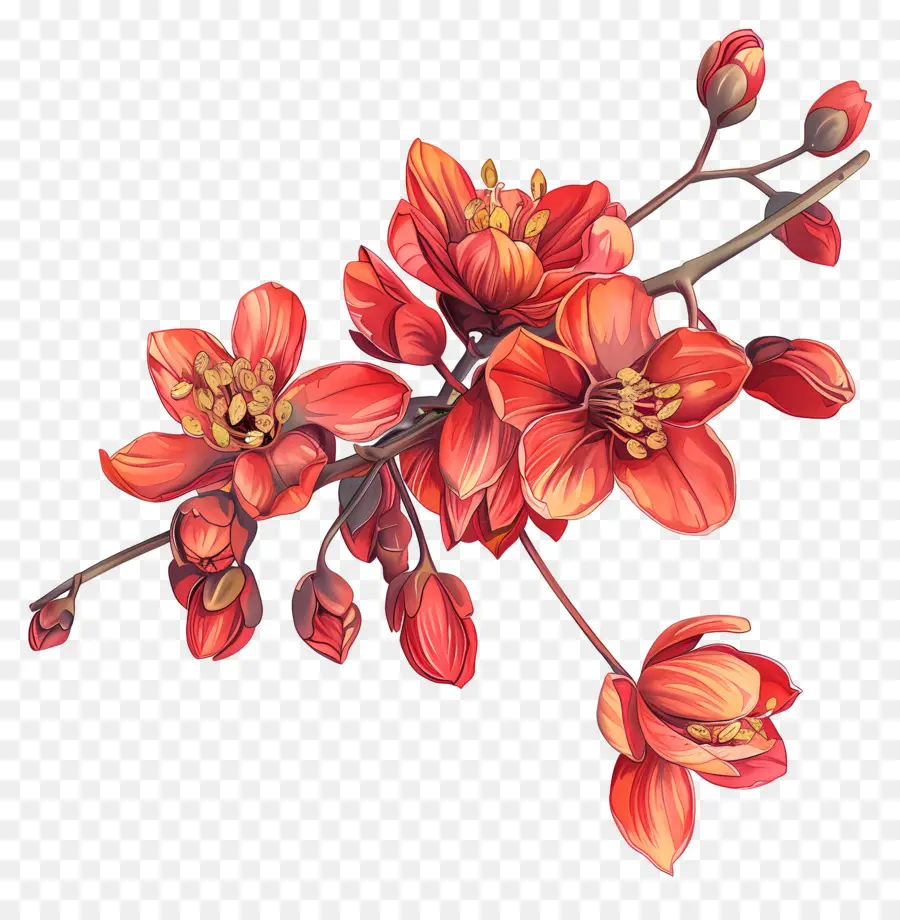 Flor Vermelha，Pintura Em Aquarela PNG