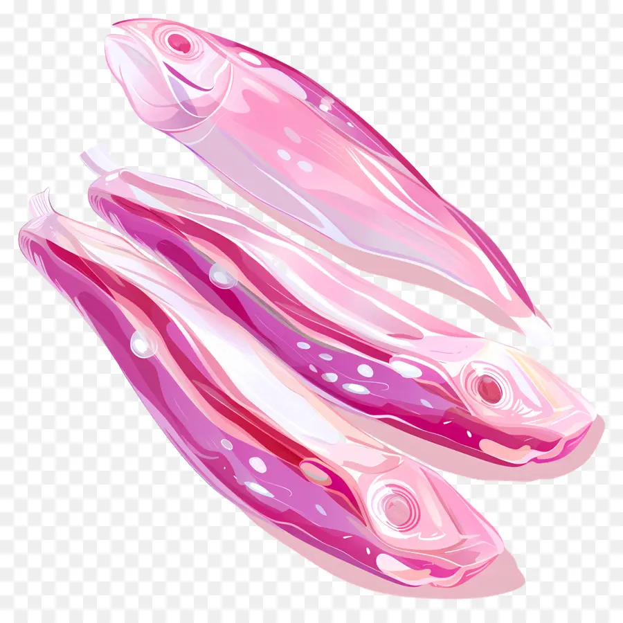 Anchovas，Peixe PNG