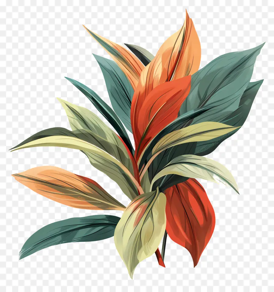 Folhagem，Arranjo De Flores PNG