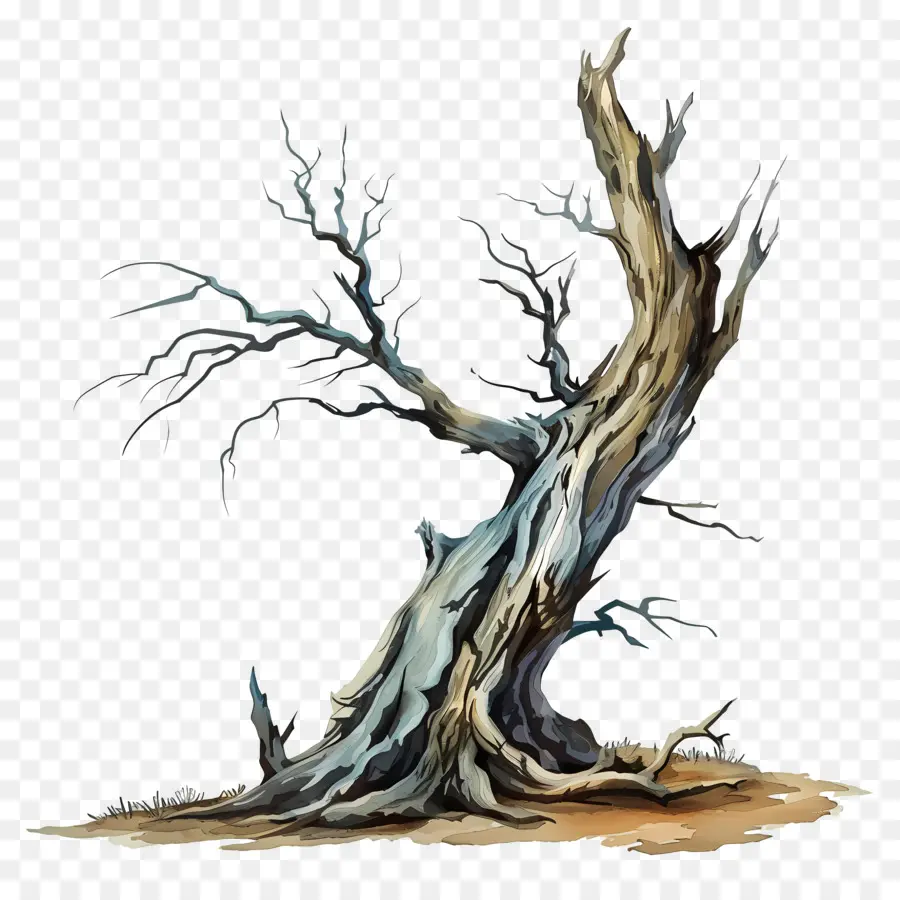 árvore Caída，árvore Morta PNG