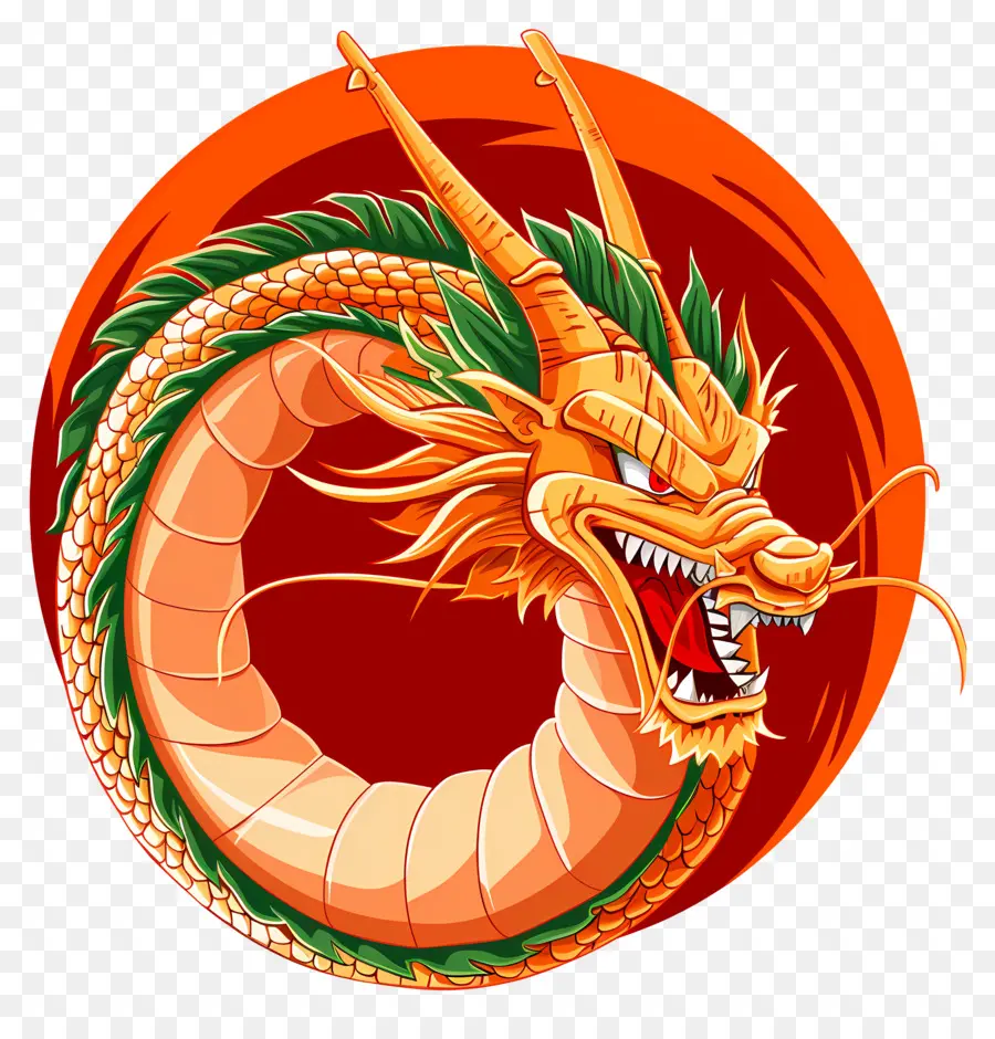 Dragon Ball，Dragão Chinês PNG