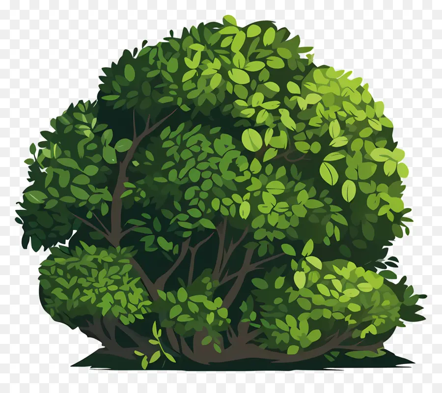 Sebes，árvore Verde PNG
