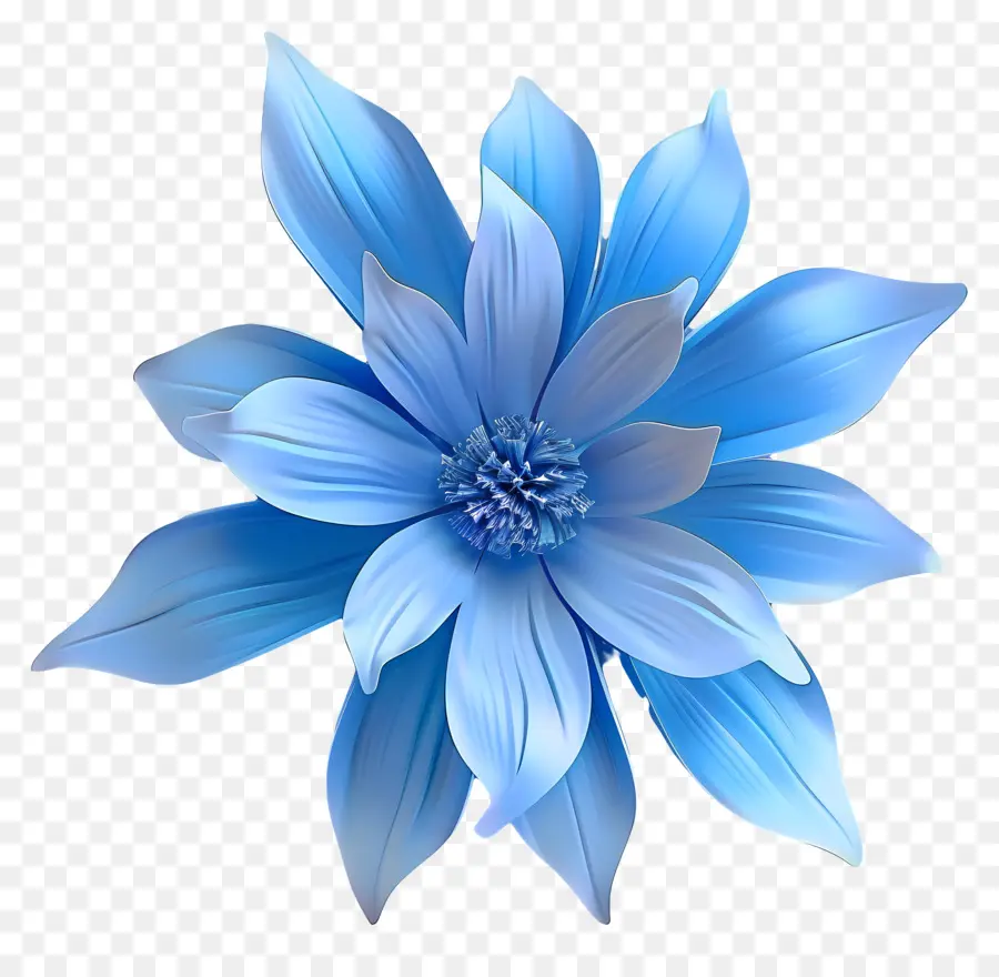 Flor Azul，Margarida Azul PNG