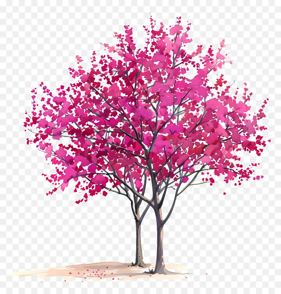 Árvore Redbud，árvore Rosa PNG