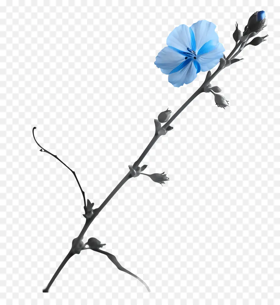 Flor Azul，Cor Vibrante PNG