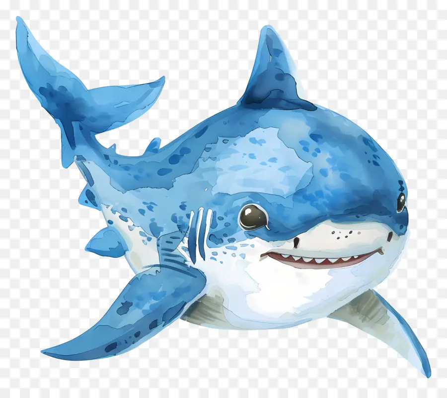 Tubarão，Tubarão Azul PNG