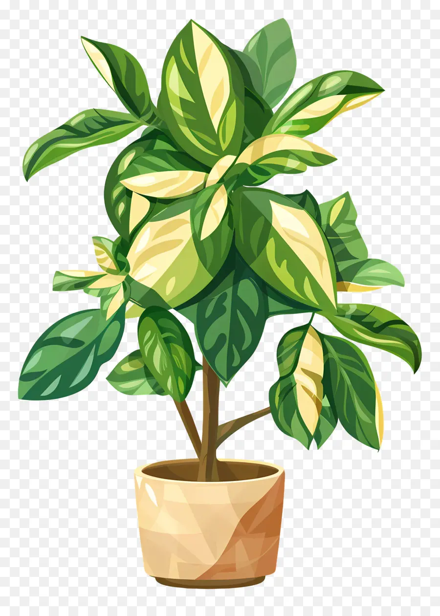 Plantas De Interior，Planta Com Flor Amarela PNG