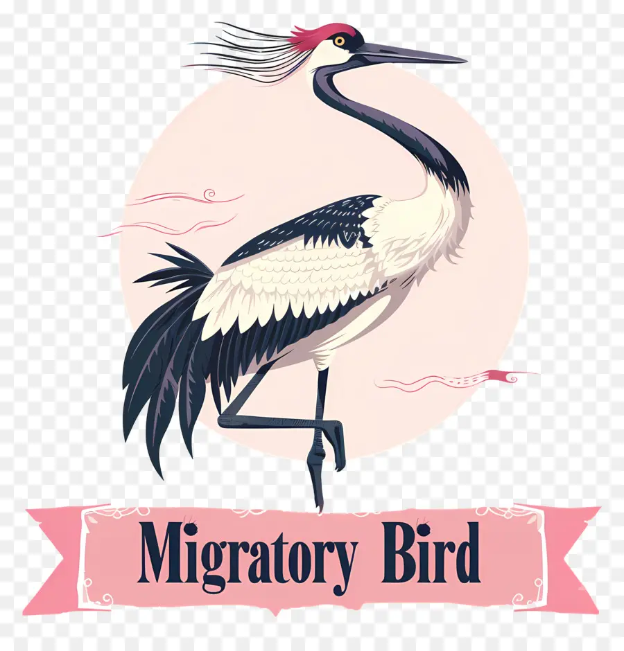 World Migratory Bird Day，Promoção De Pássaros PNG