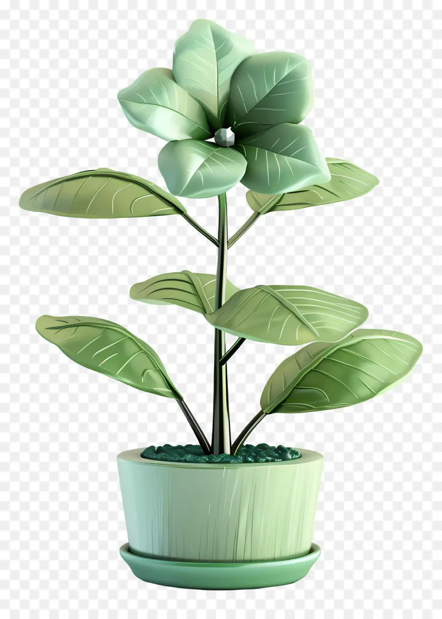 Flor De Jade Em Vasos，Monstera Deliciosa PNG