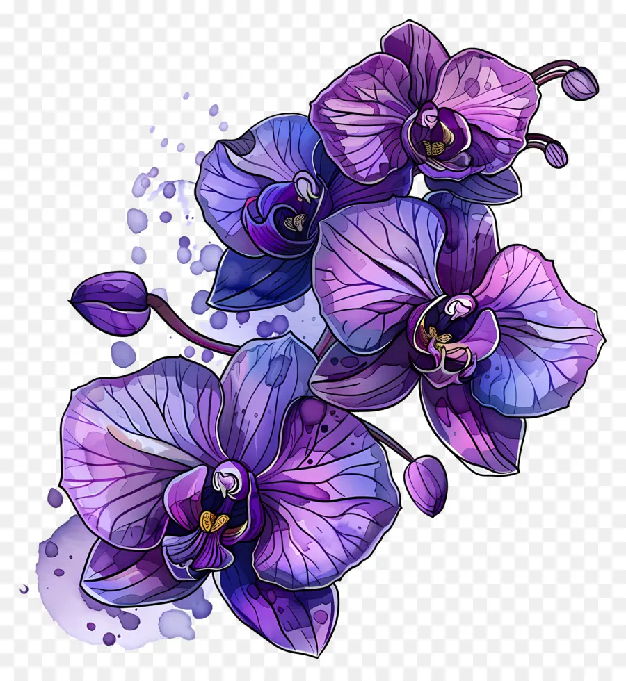 Roxo Orquídeas，Arranjo De Flores PNG