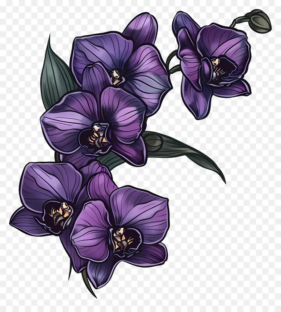 Roxo Orquídeas，Pétalas De Flor PNG