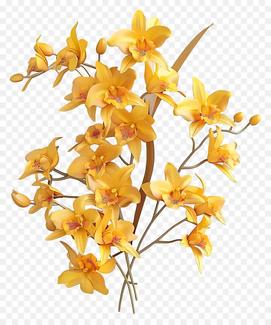Orquídeas Amarelas，Buquê De Flores PNG