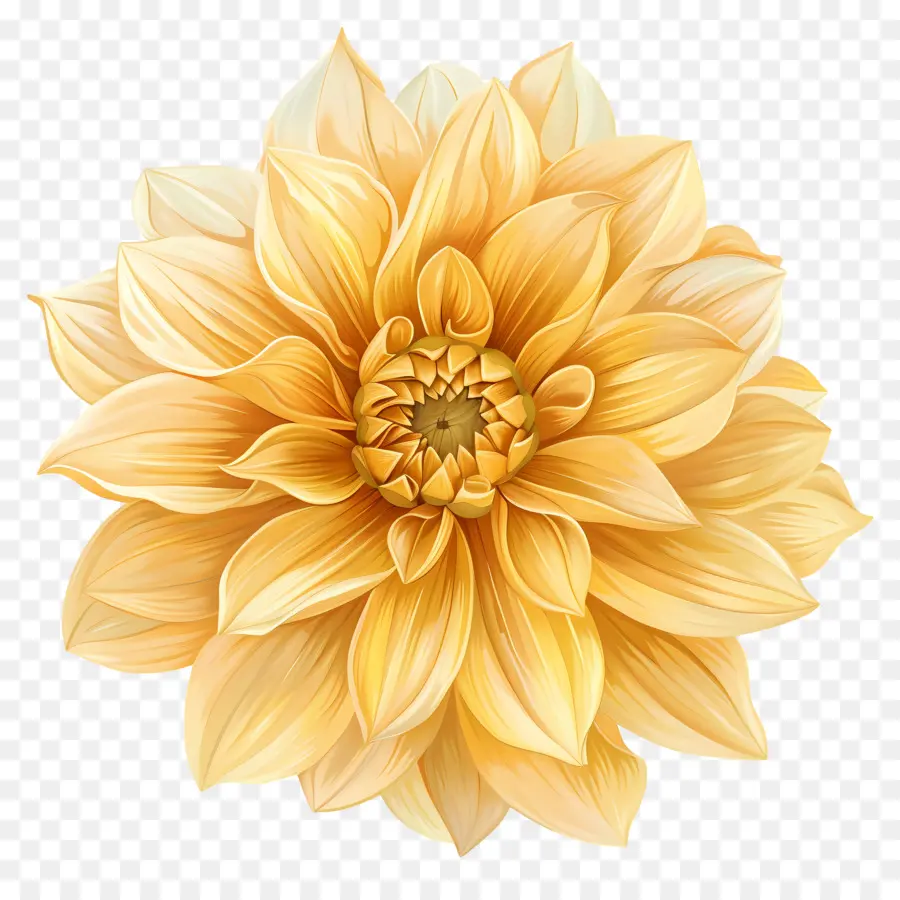 Flor Da Dahlia Amarelo，Dahlia Dourada PNG
