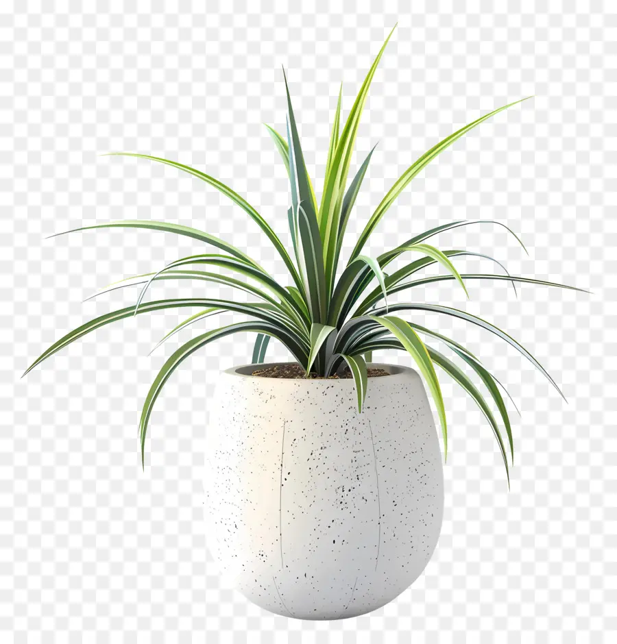 Planta Em Vasos De Aranha，Planta De Vaso PNG