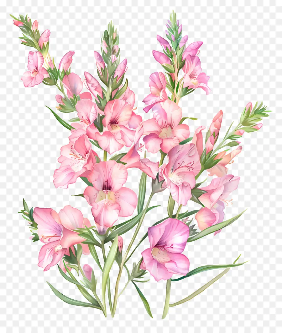 Flores De Snapdragons Rosa，Flores Cor De Rosa PNG