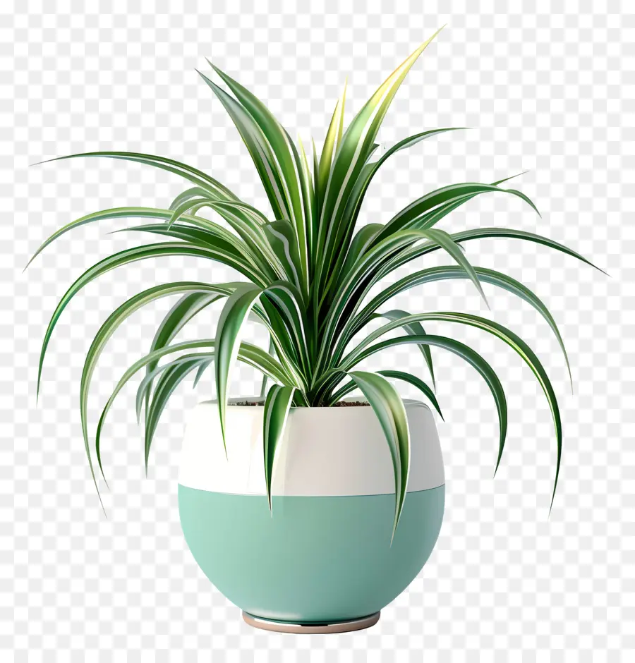 Planta Em Vasos De Aranha，Planta Interna PNG