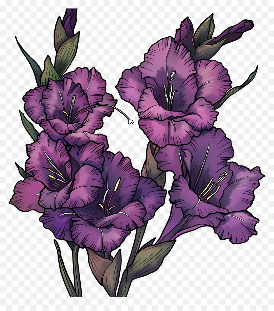Gladioli Roxo，Flores Roxas PNG