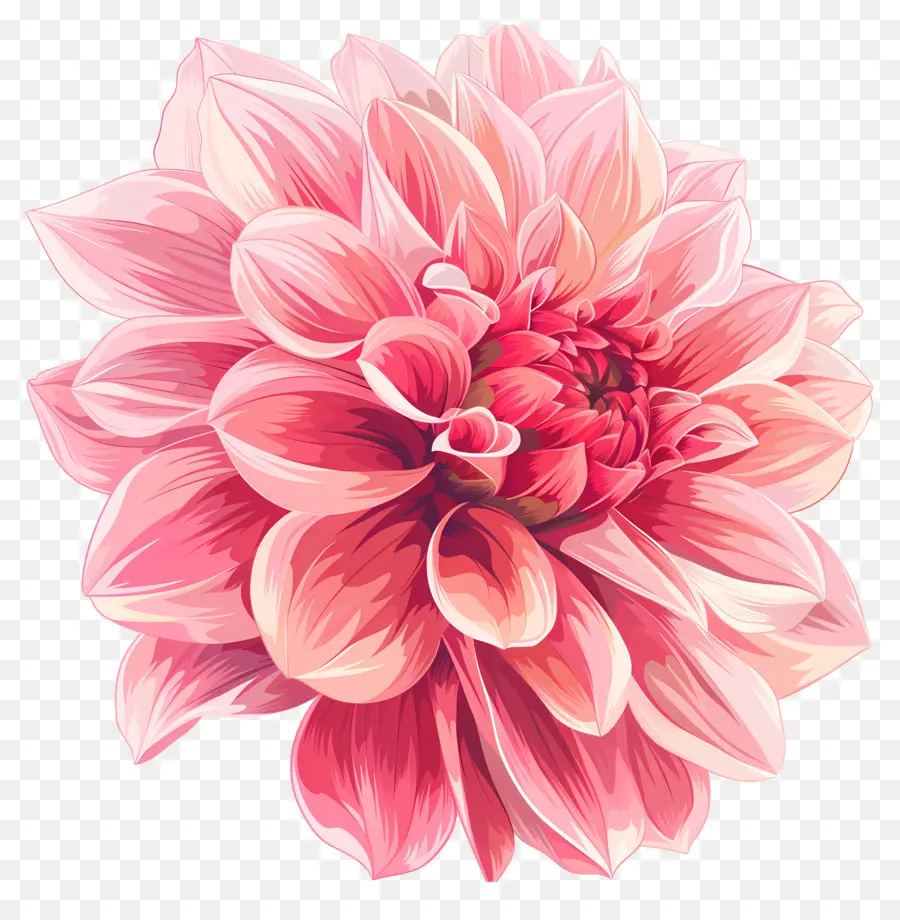 Flor Da Dahlia Pink，Flor Rosa PNG