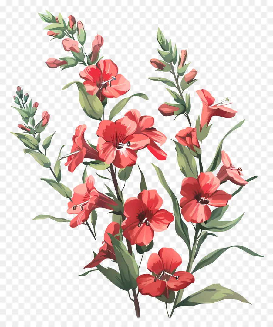 Flores De Snapdragons Vermelhos，Flores Vermelhas PNG