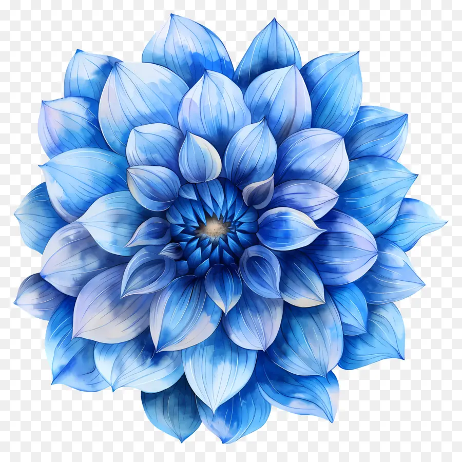 Blue Dahlia Flor，Flor Azul PNG