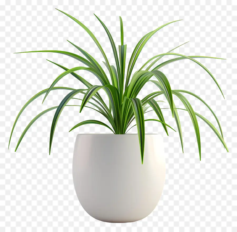 Planta Em Vasos De Aranha，Planta Interna PNG