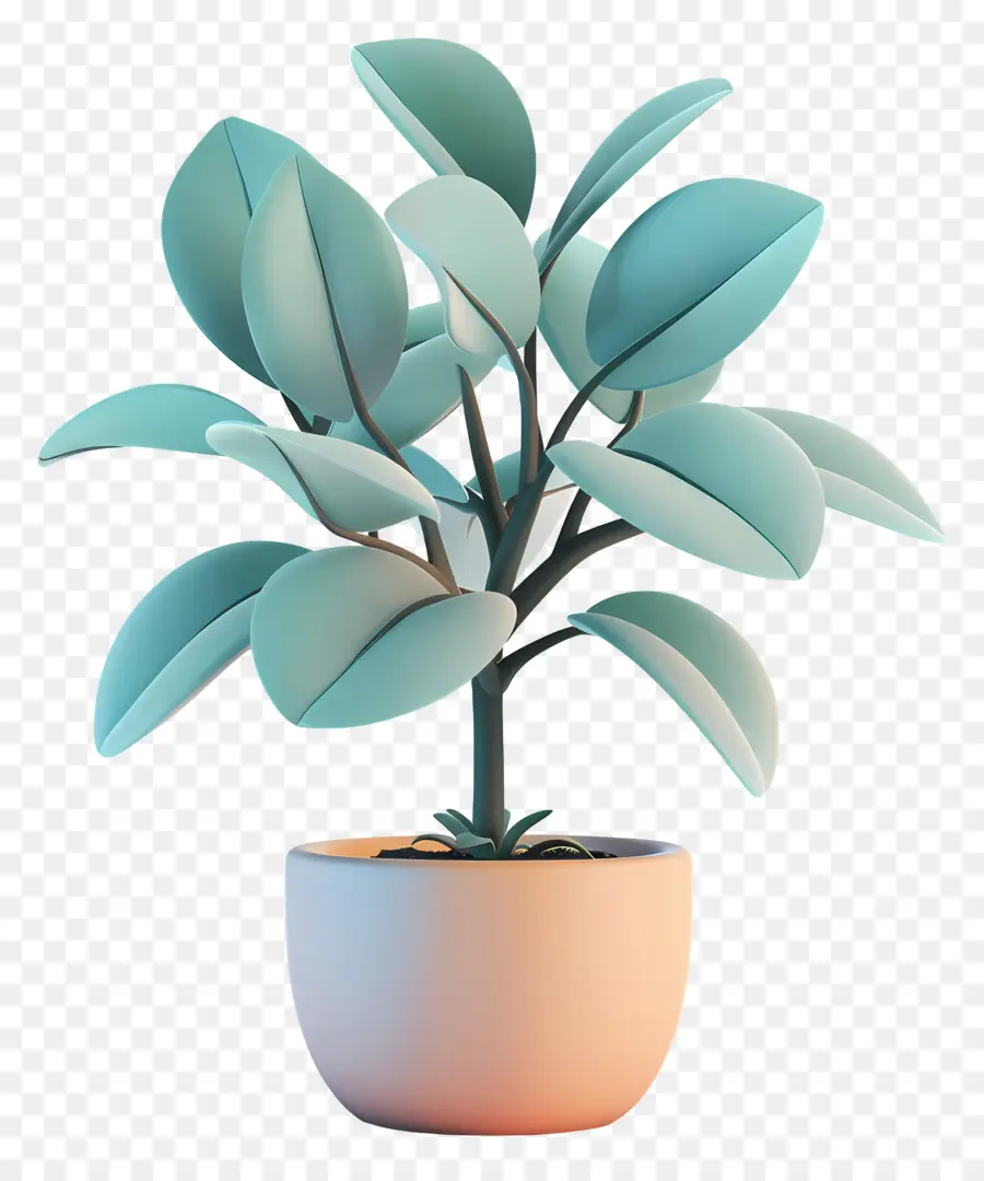 árvore De Borracha，Planta De Vaso PNG