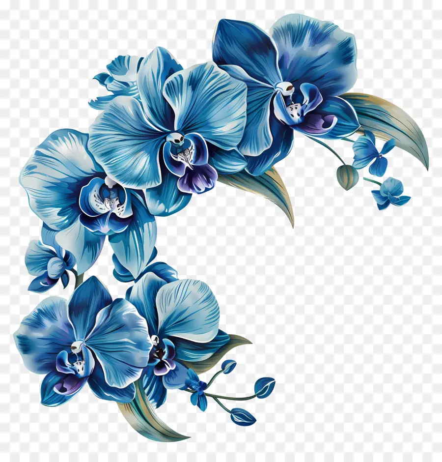 Orquídeas Azuis，Pintura PNG