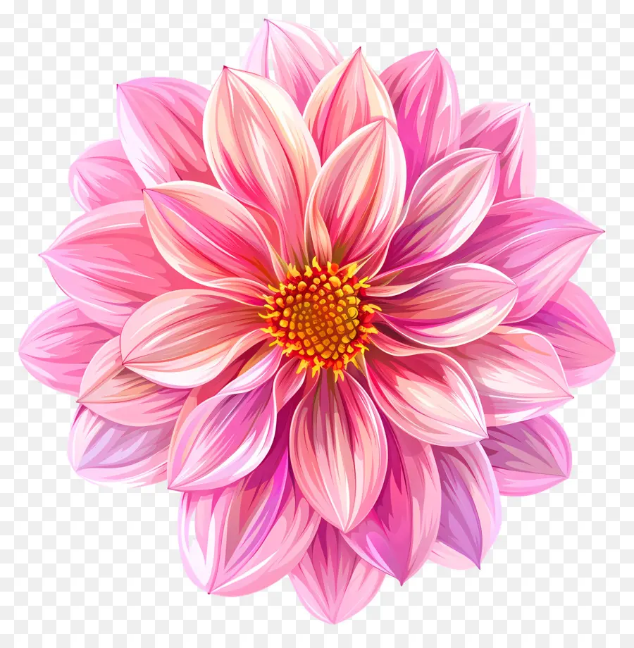 Flor Da Dahlia Pink，Flor Rosa PNG