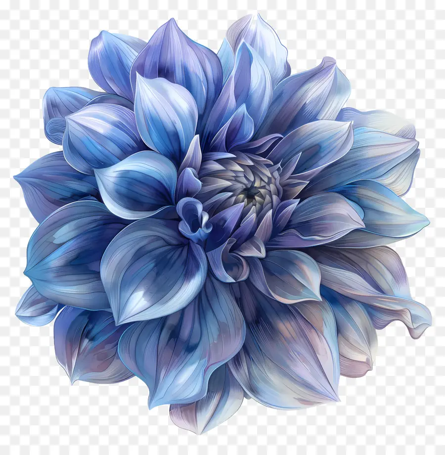 Blue Dahlia Flor，Pintura Digital PNG