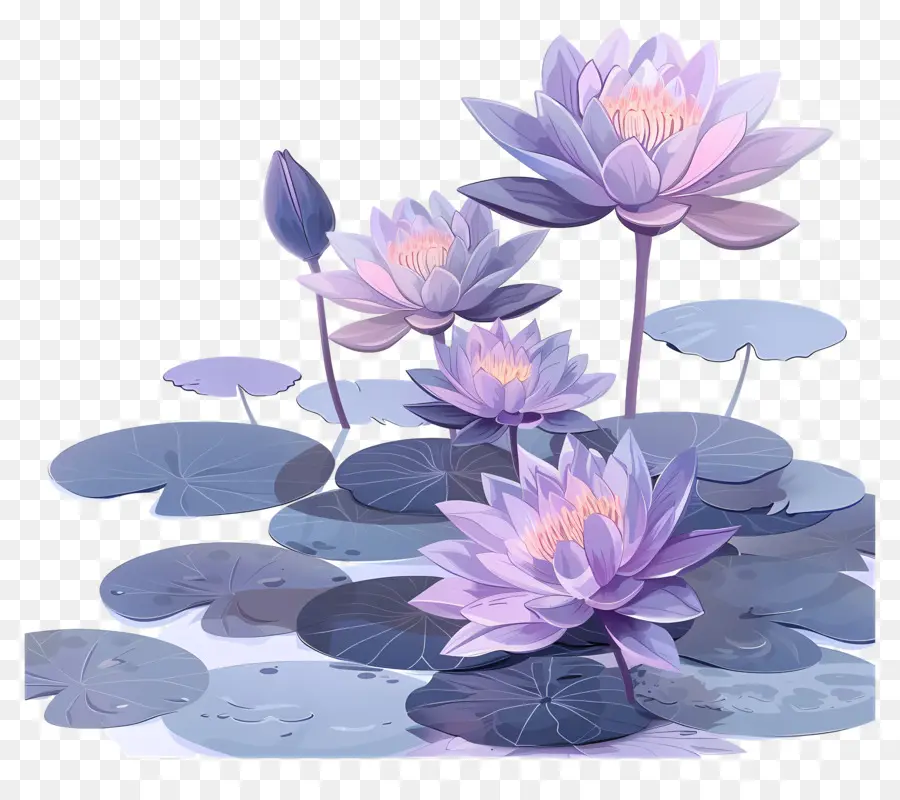 Lírios De água Roxa，Flores De Lótus PNG