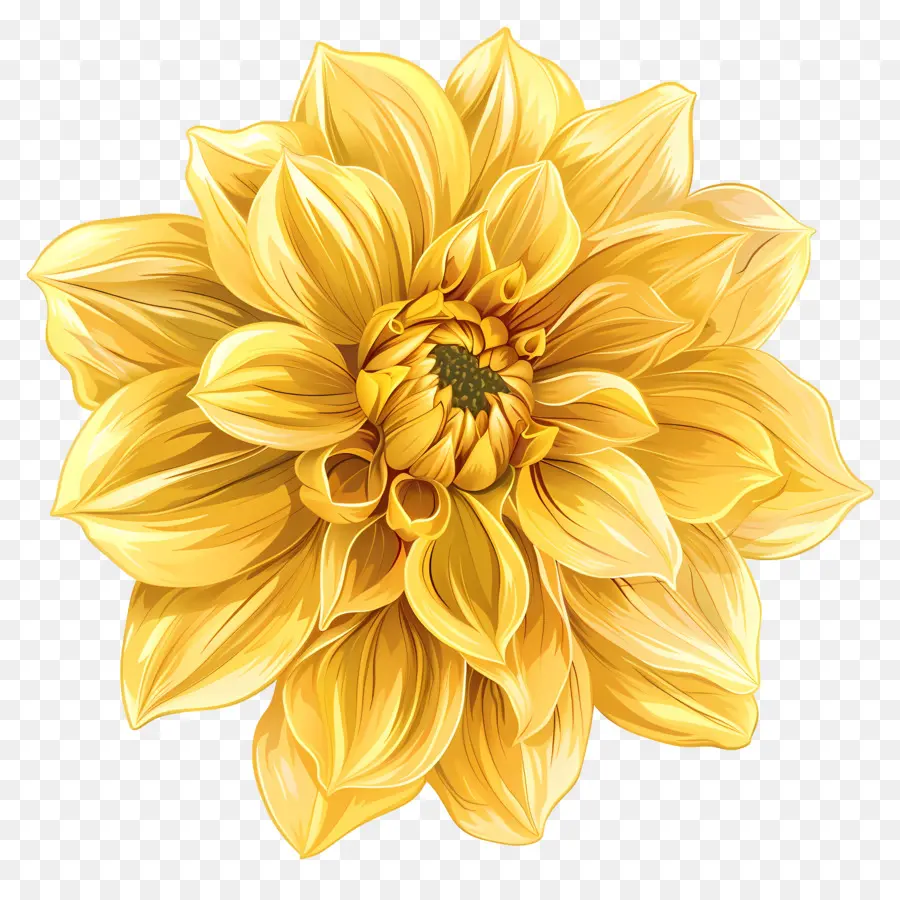Flor Da Dahlia Amarelo，Flor Amarela PNG