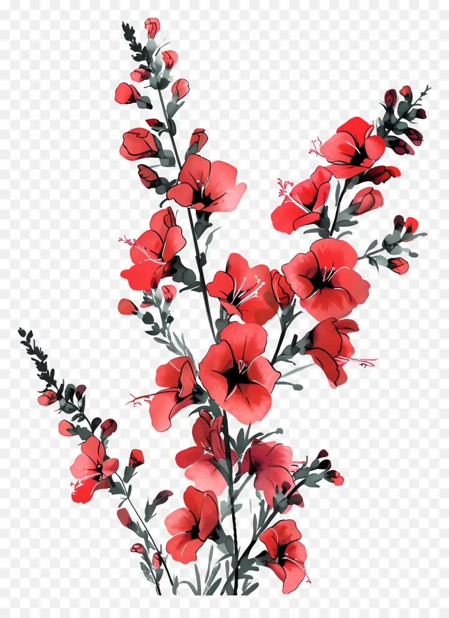 Flores De Snapdragons Vermelhos，Flores Vermelhas PNG