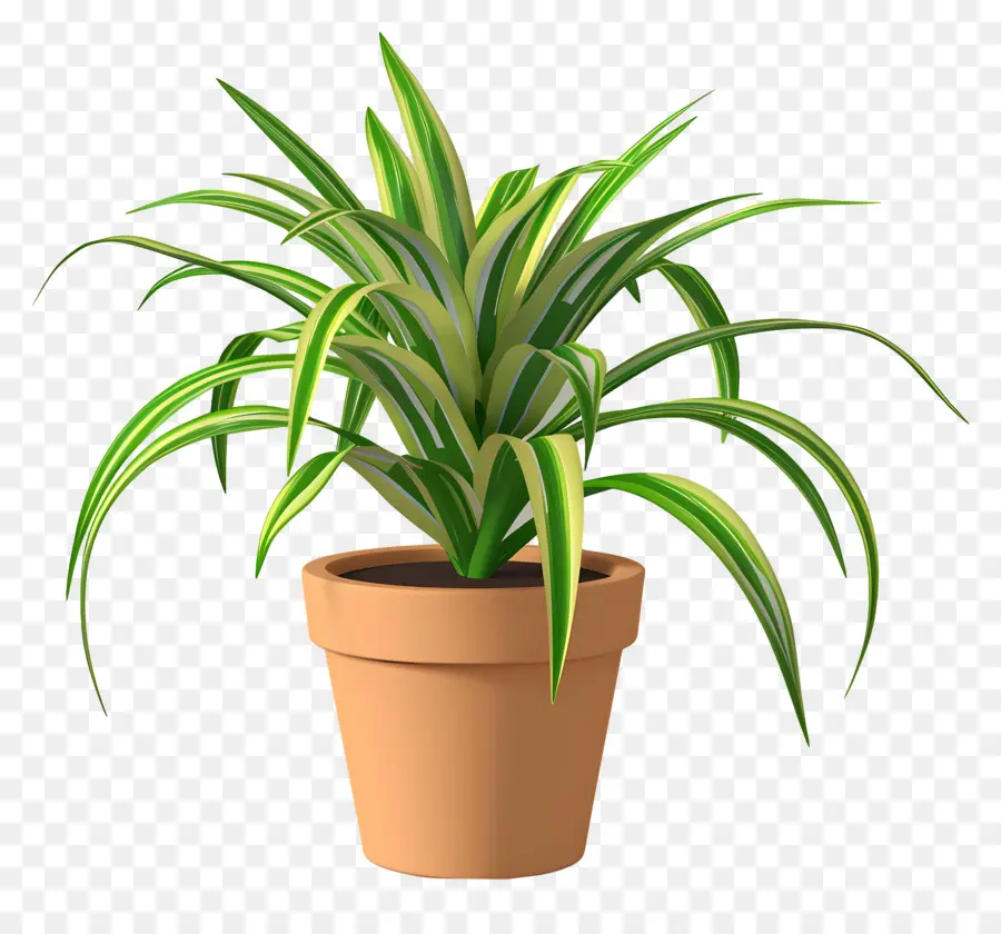 Planta Em Vasos De Aranha，Planta Cobra PNG