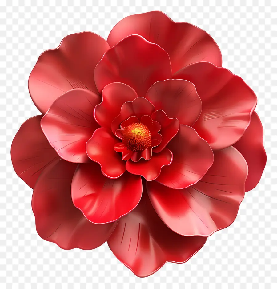 Begônia Flores，Flor Vermelha PNG