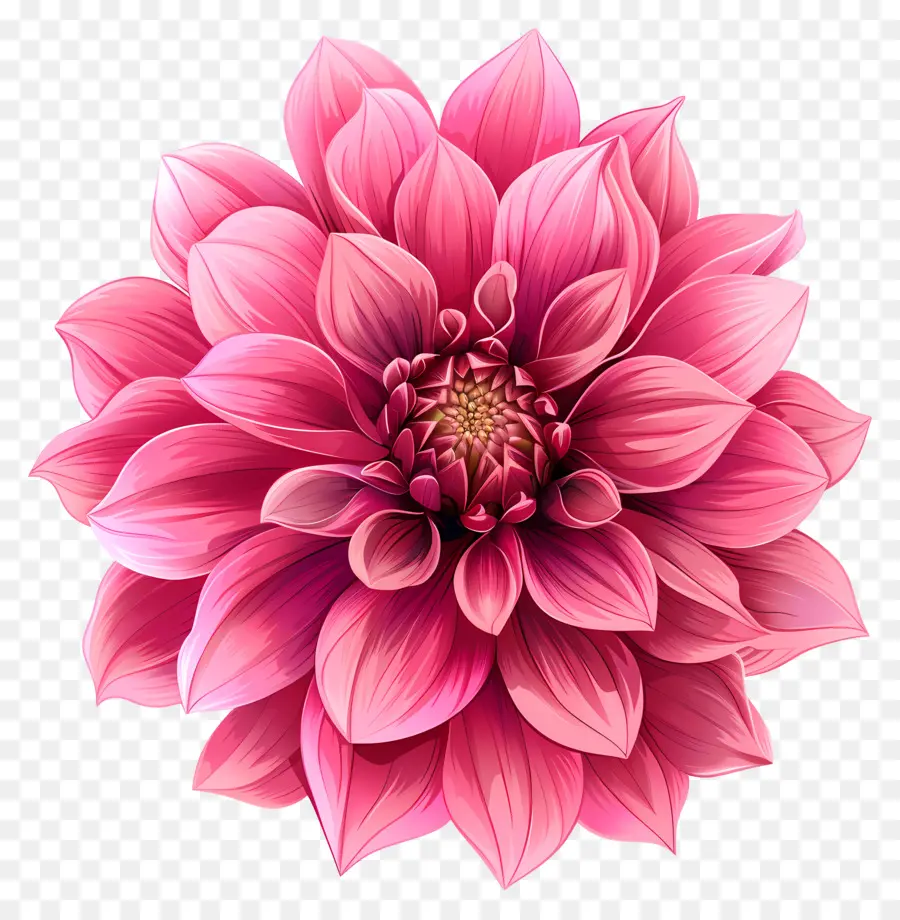 Flor Da Dahlia Pink，Flor Rosa PNG