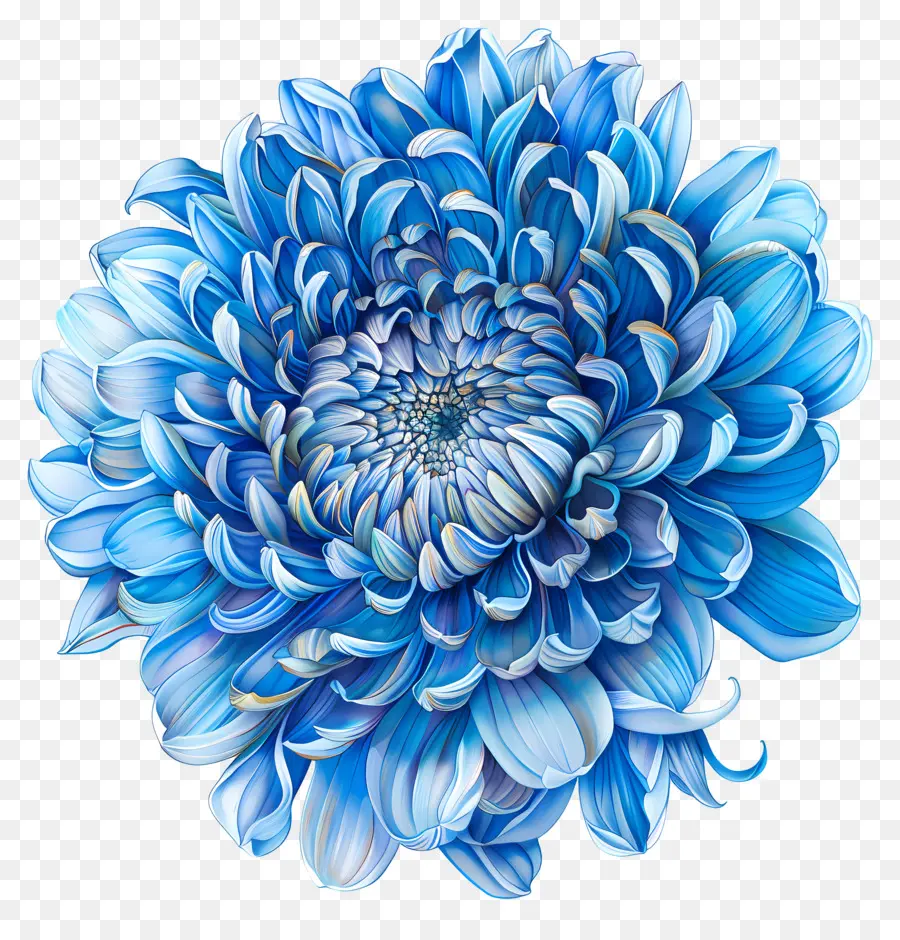 Crisântemo Azul，Arranjo De Flores PNG