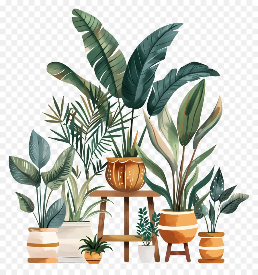 Viveiro De Plantas，Vasos De Plantas PNG